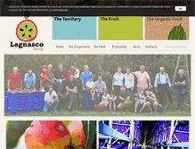 Tablet Screenshot of lagnascogroup.it